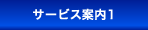 �T�[�r�X�ē�1